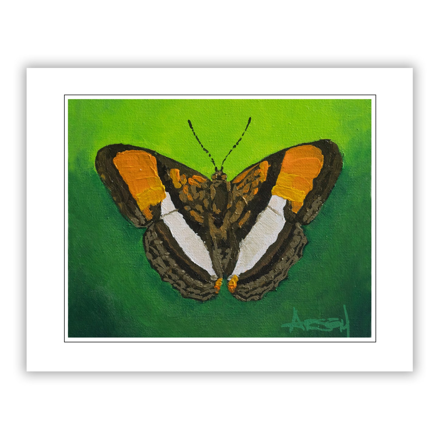 Painting of a butterfly on a green background with a white border
