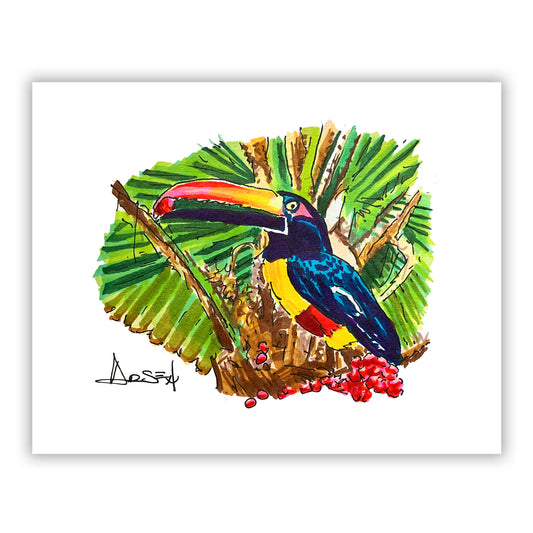 Colorful close-up sketch of an aracari bird nestled among palm leaves.