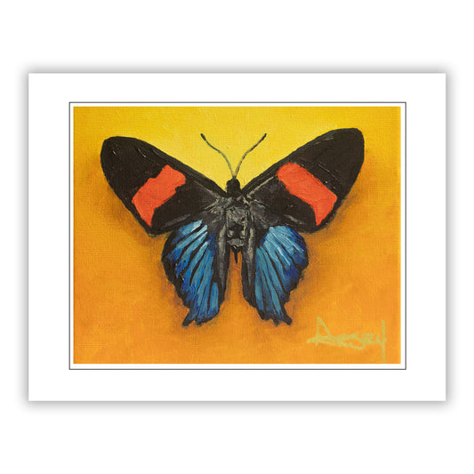 Butterfly with black, blue, and red wings on a yellow background