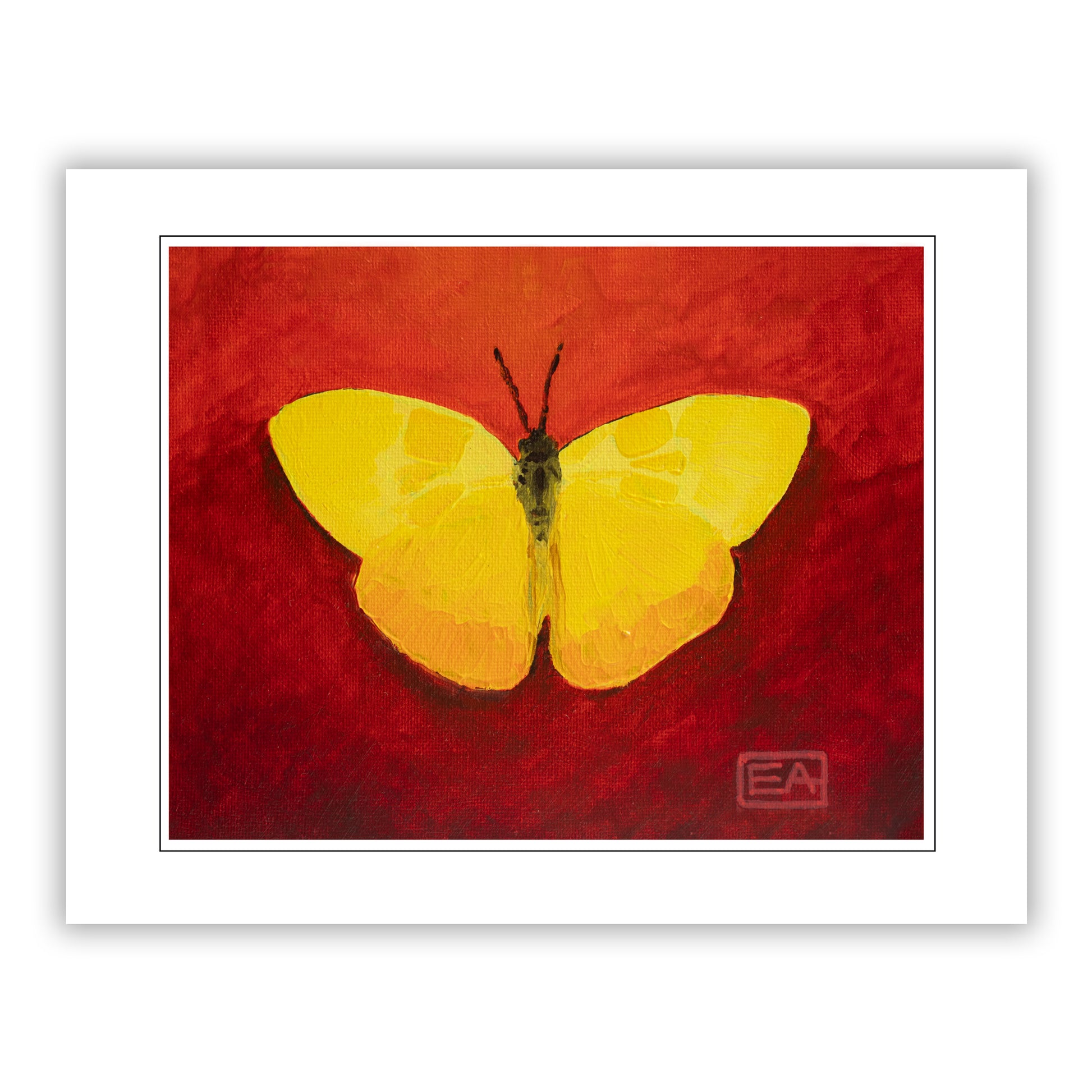Yellow butterfly on a red background with a white border