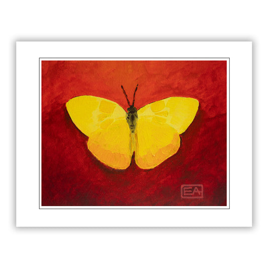 Yellow butterfly on a red background with a white border