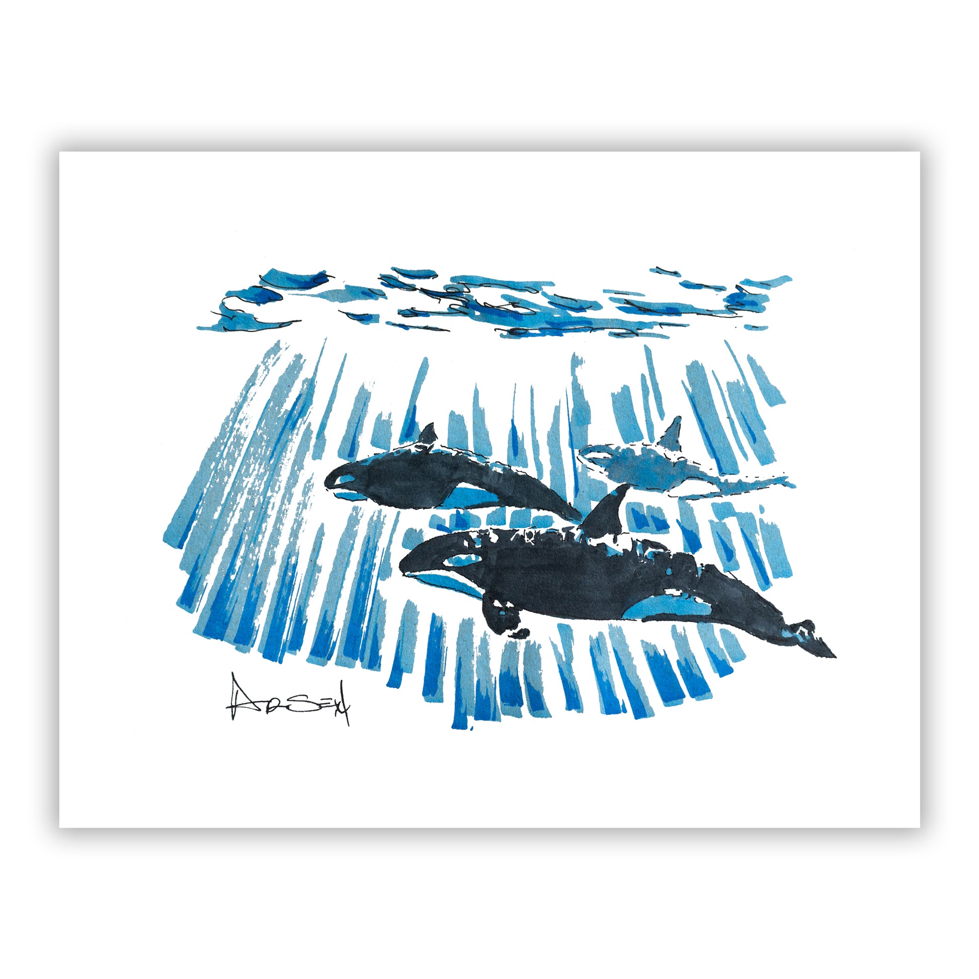 Artistic depiction of orcas swimming underwater with blue water patterns on a white background.