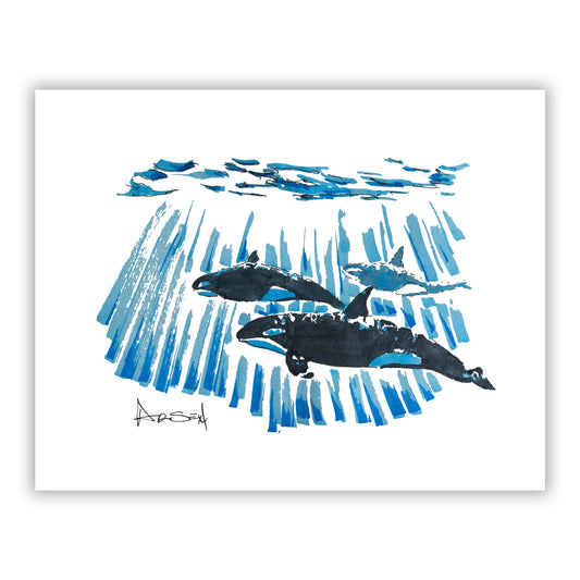 Artistic depiction of orcas swimming underwater with blue water patterns on a white background.