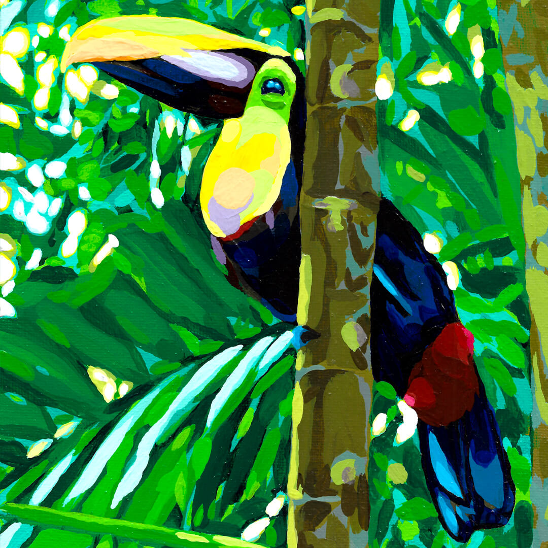 Arsen Art Studio Toucan Acrylic