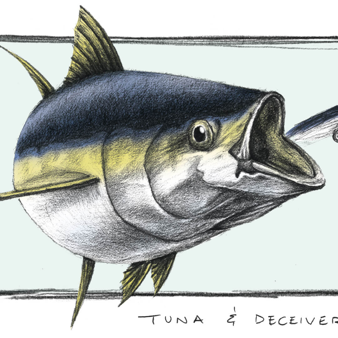 Arsen Art Studio Tuna Graphite Pencil Digital Color