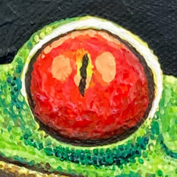Arsen Art Studio - Frog Commander NFT Eye Close Up