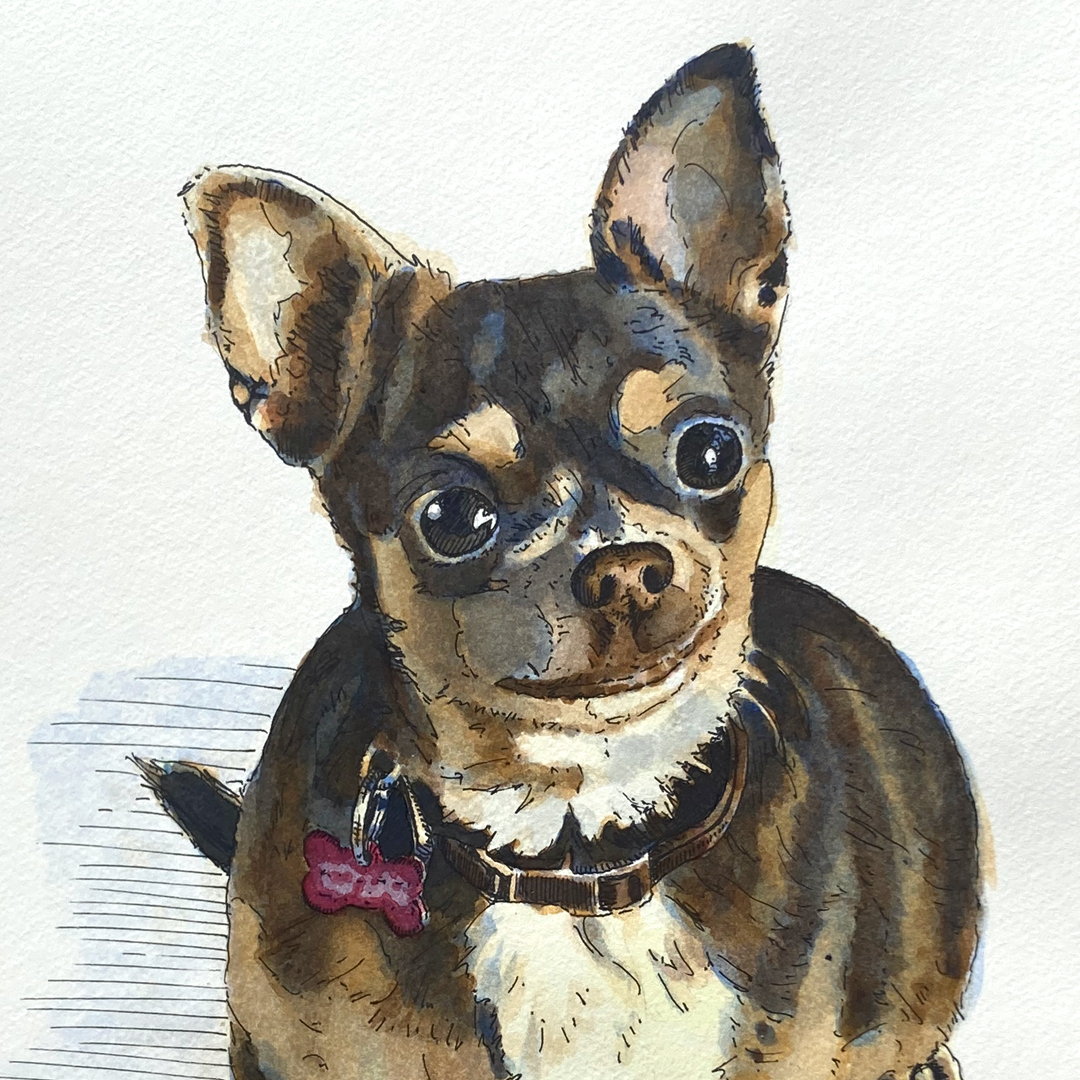 Arsen Art Studio - Pet Portrait of Toby