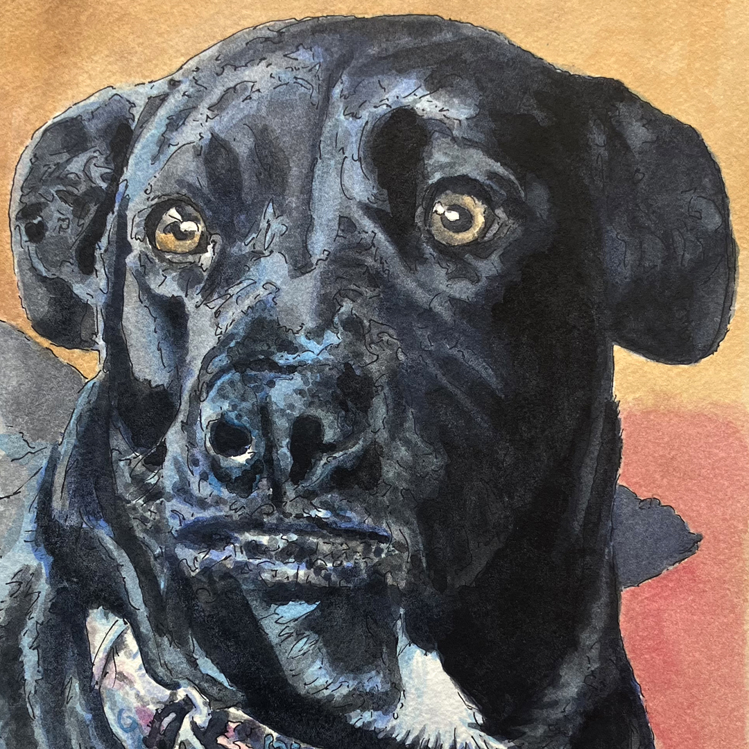 Arsen Art Studio - Pet Portrait of Coco