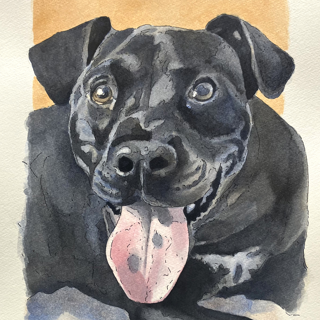 Arsen Art Studio - Pet Portrait of Floyd