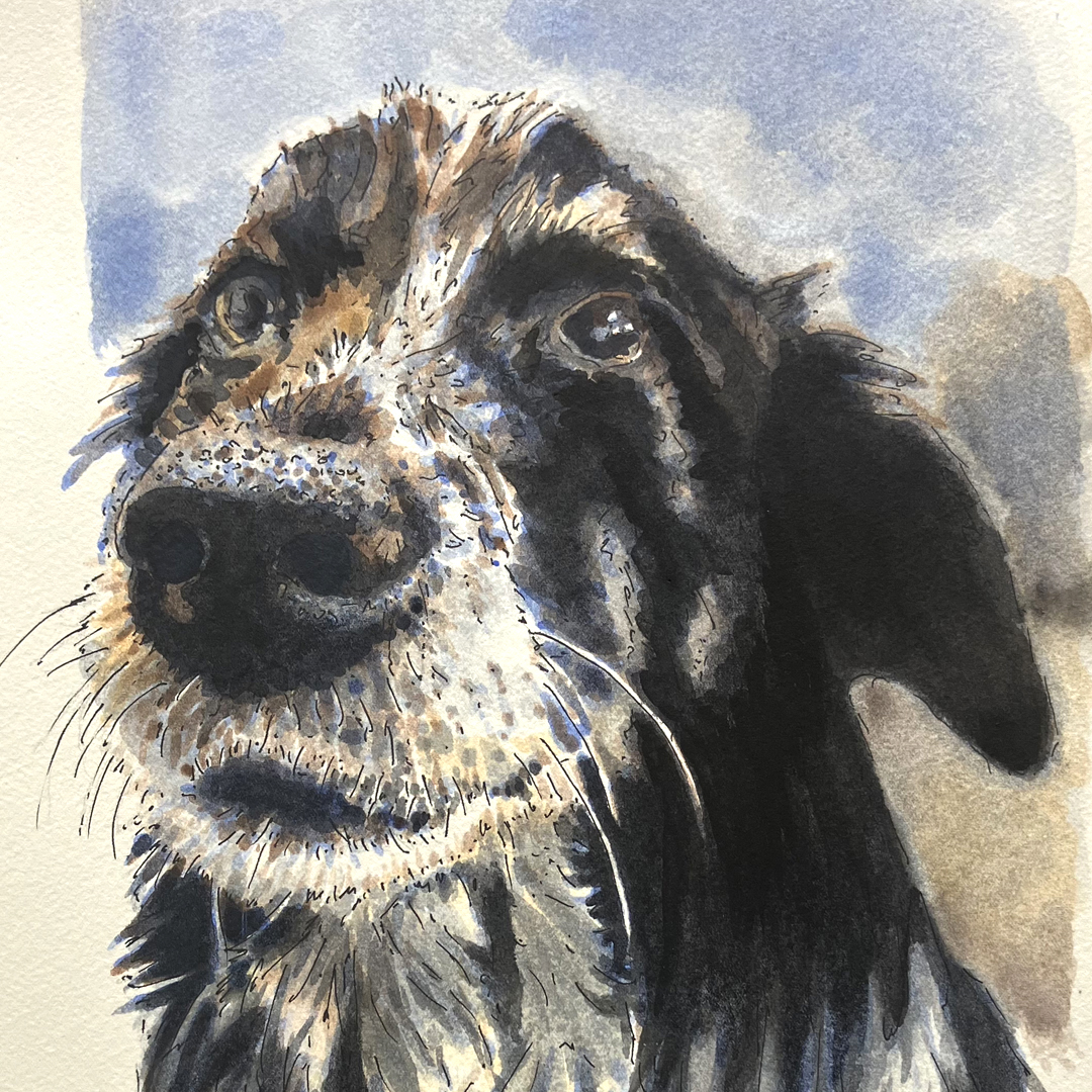 Arsen Art Studio - Pet Portrait of Lyla